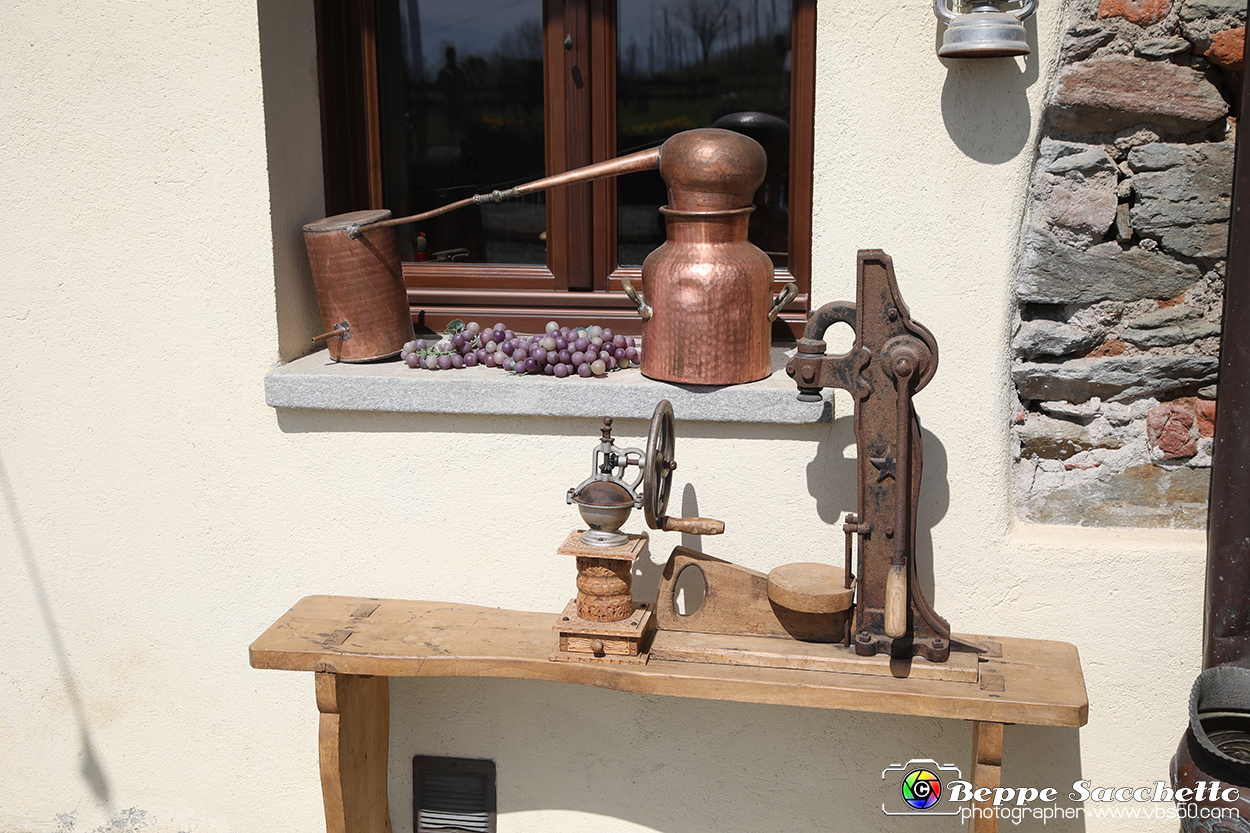 VBS_7316 - PressTour educational dedicato ai vini del Pinerolese e all’olio prodotto sulla collina di Pinerolo.jpg